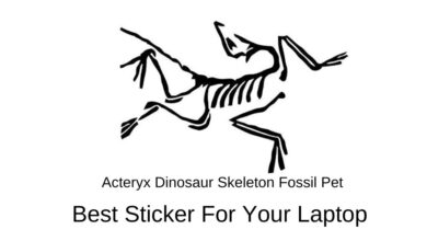 arcteryx laptop sticker - featured image