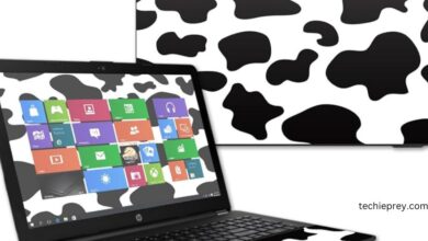 HP Notebook Laptop Skins - Featured Image