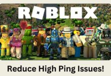 Roblox - Reduce high ping issues