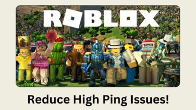 Roblox - Reduce high ping issues